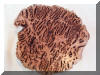 Eucalypt Burl lazy susan